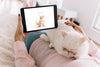 Woman On Couch With Cat And Tablet Mockup Psd