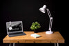 Workspace With Lamp And Plant Psd